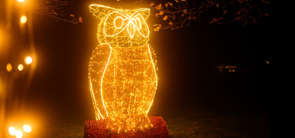 Beginn der Wintersaison im Sonnenlandpark Lichtenau