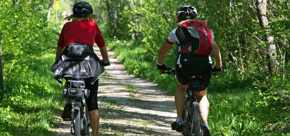 VELO WILDNIS, geführte Radtour um das Wildnisgebiet Königsbrücker Heide