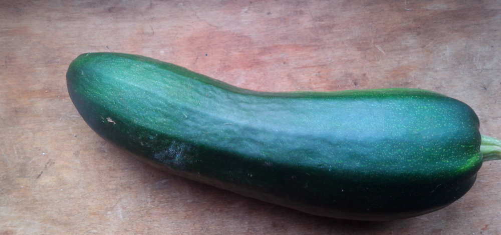 Gemüse- und Sortenvielfalt im Schulgarten