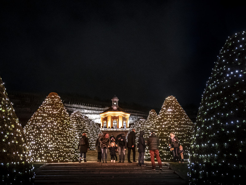 Wein & Licht auf Schloss Wackerbarth