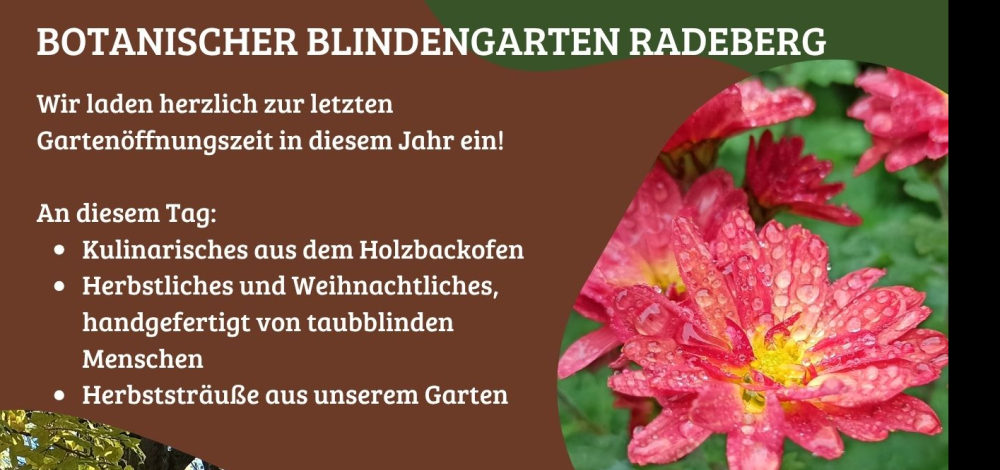 Rund um den Backofen 25.10.2025 im Botanischen Blindengarten Radeberg