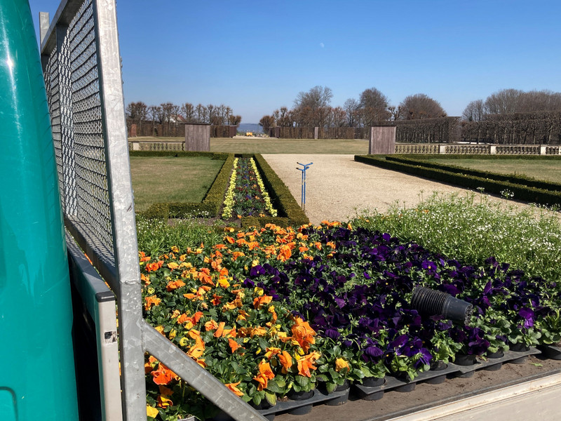 Von der Planung zur Blüte – Die Vorbereitung auf die Gartensaison