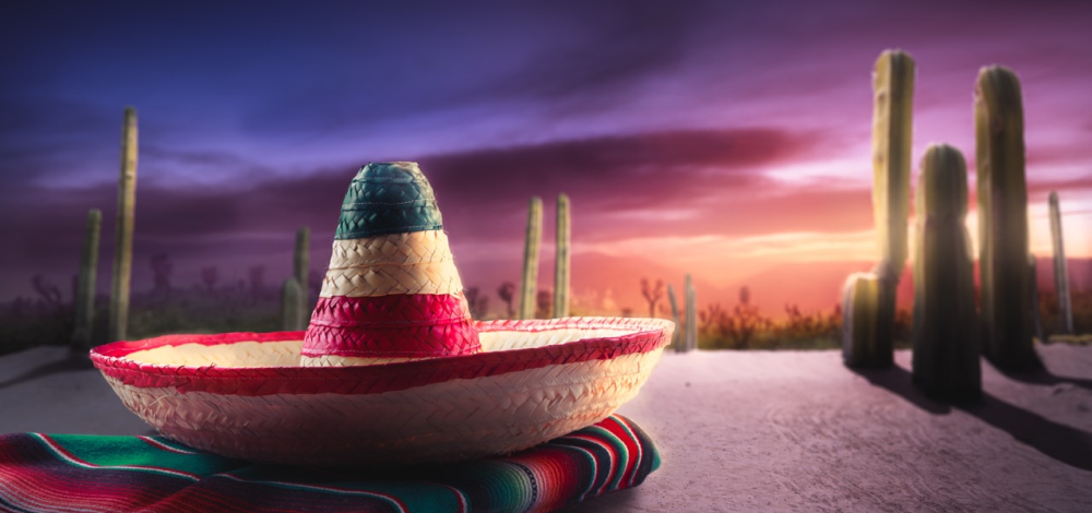 Mexican Salsa und Kaktusessen im Mammutgarten