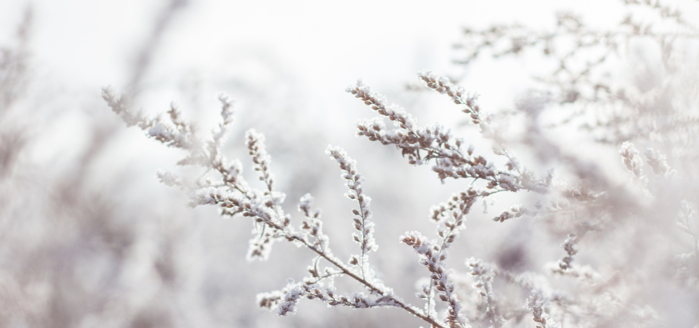 Winterkonzert mit den „Streichhölzern“