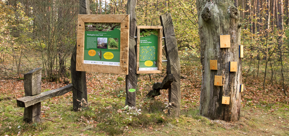 Neißeland Erlebnistage: Landschaftsgeschichte entlang des Wiesen- und Waldpfads erleben