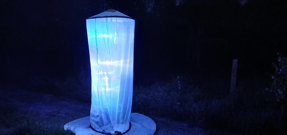 EXPEDITION WILDNIS - "Nacht-Leuchten"