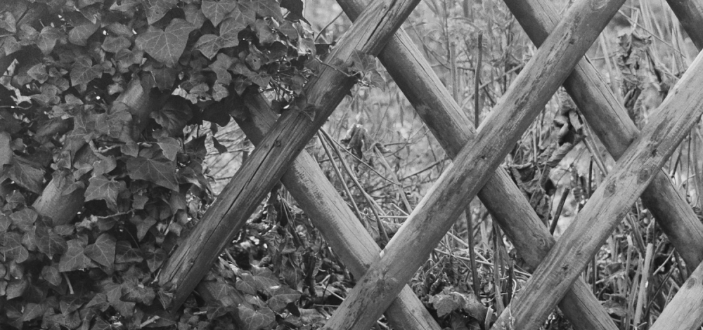 Ausstellung "Kleingarten Eden"