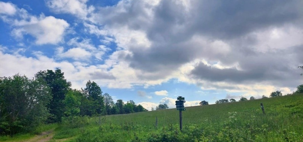 Praxistag der Jungen Naturwächter: Wetter und Klima