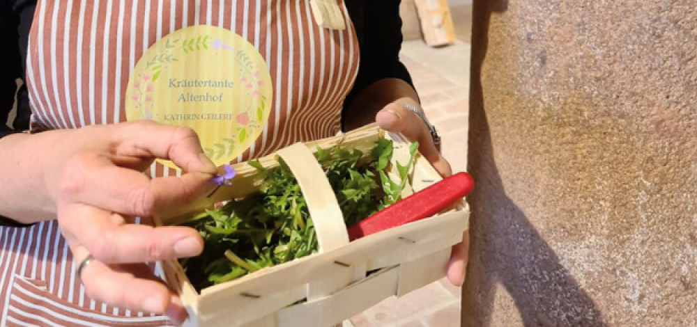 Kochwerkstatt - Dein Sommer-Kurs für mehr Natur in der Küche - in Altenhof