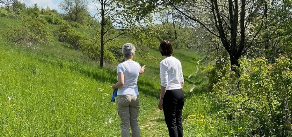 Themenwanderung zum Berufsausstieg - Nöthnitzgrund (8 km, mittel)