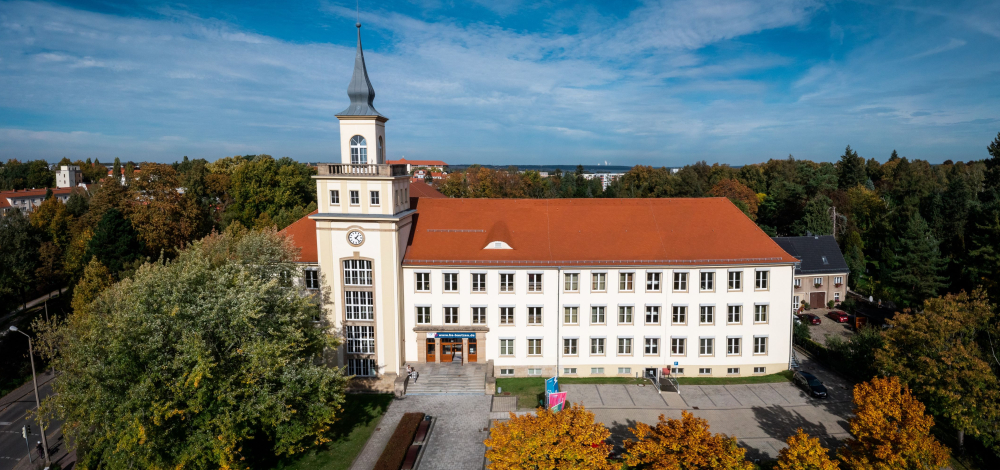 Individuelle Studienberatung