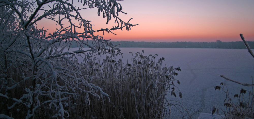 Winterimpressionen in der Teichgruppe Guttau