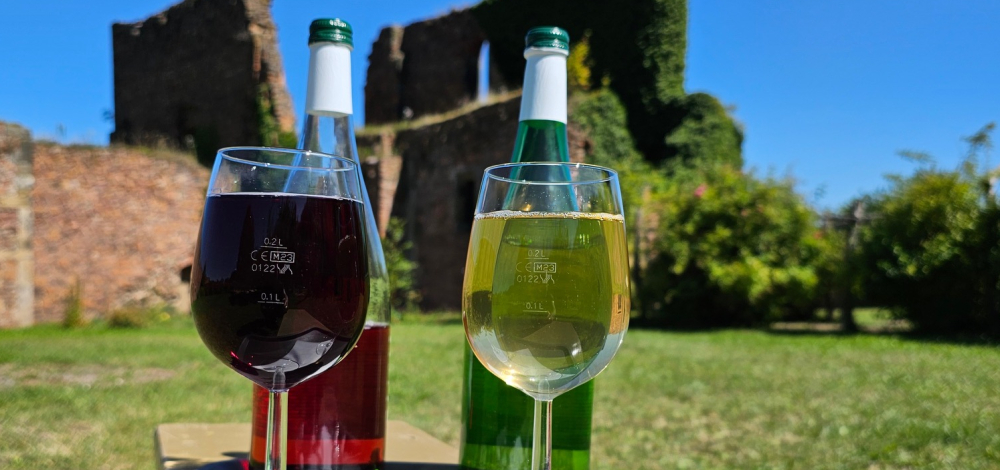 Kloster und Wein - Sächsischer Sekt