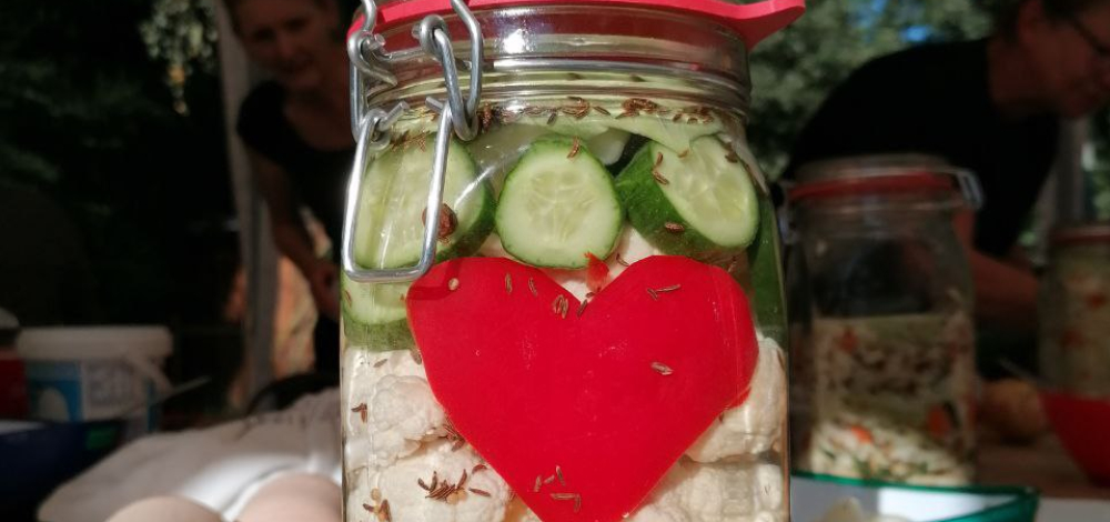 Kräuter - Kräuter-Gemüse-Kurs "Einfach sauer Vergären" amund im Aussichtsturm Scheibenberg