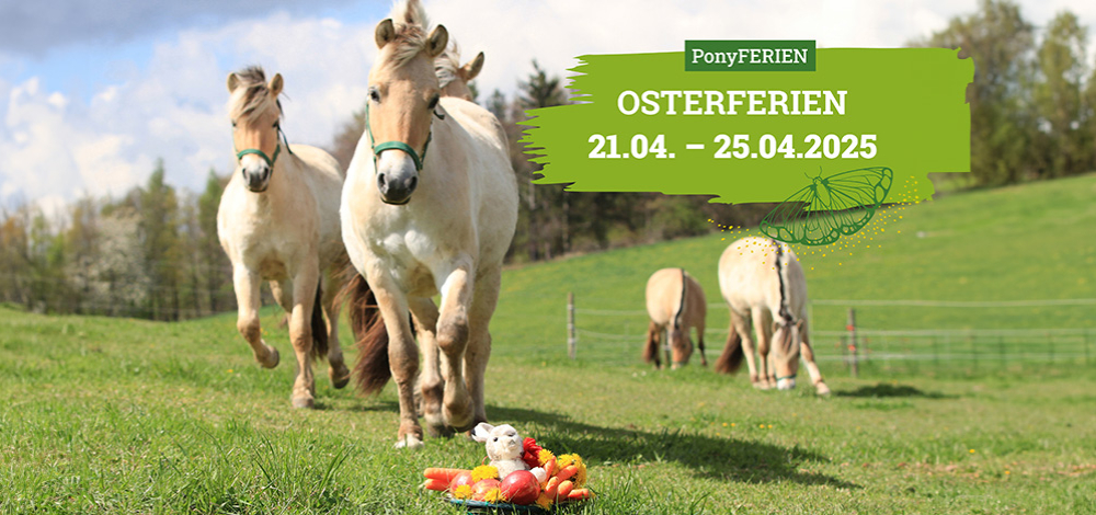 PonyFerien „Osterleuchten“ am LGKS