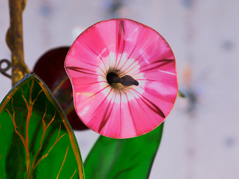 Durch die Blume. Der Weesensteiner Osterspaziergang