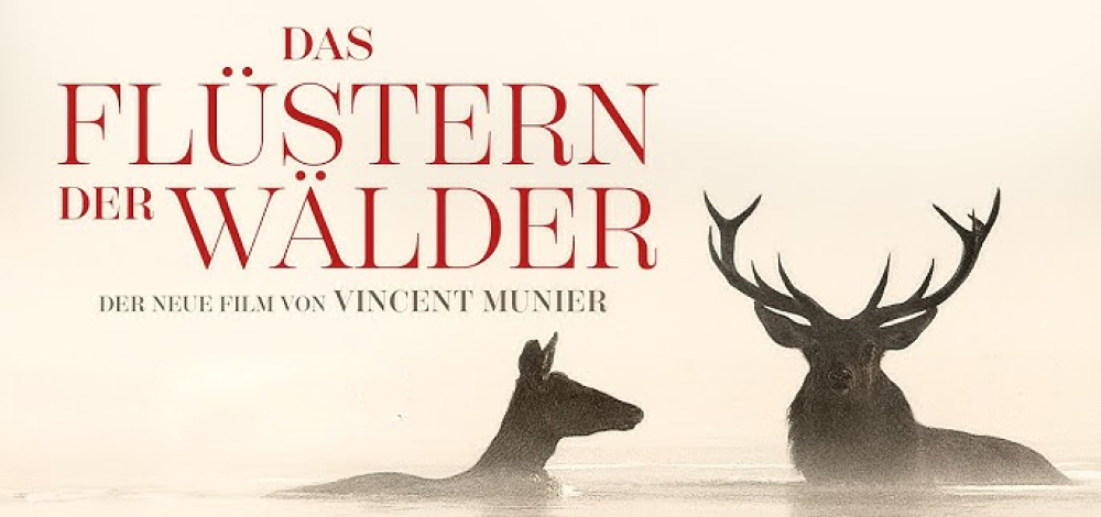 Film: Das Flüstern der Wälder