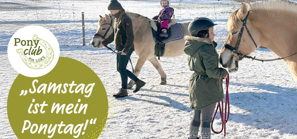 Reiten, füttern, pflegen und kuscheln – Deine Pferdezeit im Ponyclub am Landgut