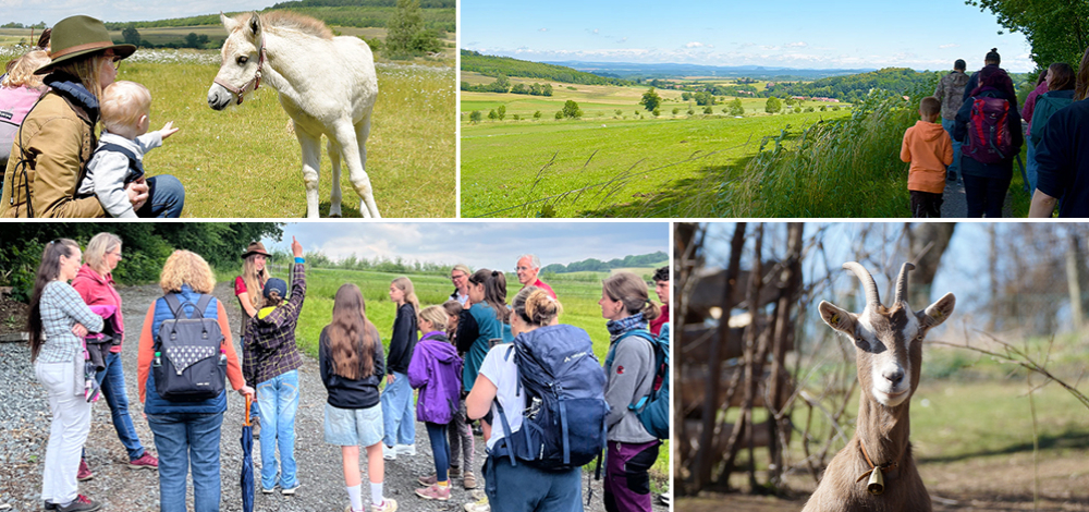 Familienspaziergang mit Ponykuscheln – Auf Koppel-Entdecker-Tour am Landgut