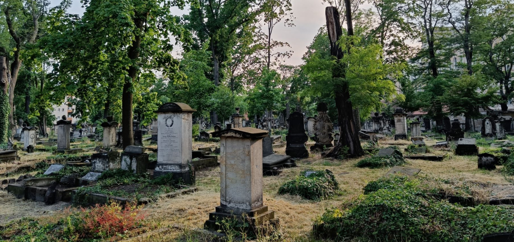 Kurzführung über den Eliasfriedhof: Die Apothekenjungfer Klimk erzählt