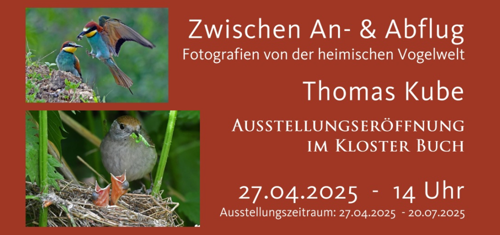 Ausstellungseröffnung - Thomas Kube: "Zwischen An- und Abflug - Fotografien von der heimischen Vogelwelt"