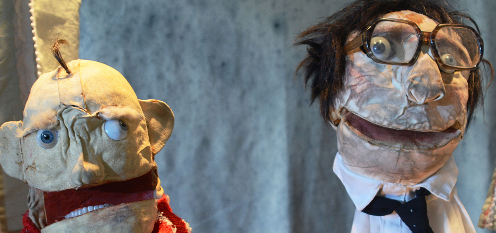 Biete Waschbär - Suche Frau !