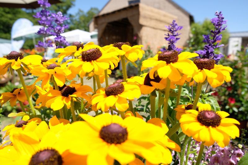 Blumen- und Gartenschau Altzella