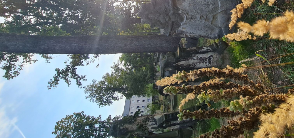 Sommerabendführung über den Eliasfriedhof