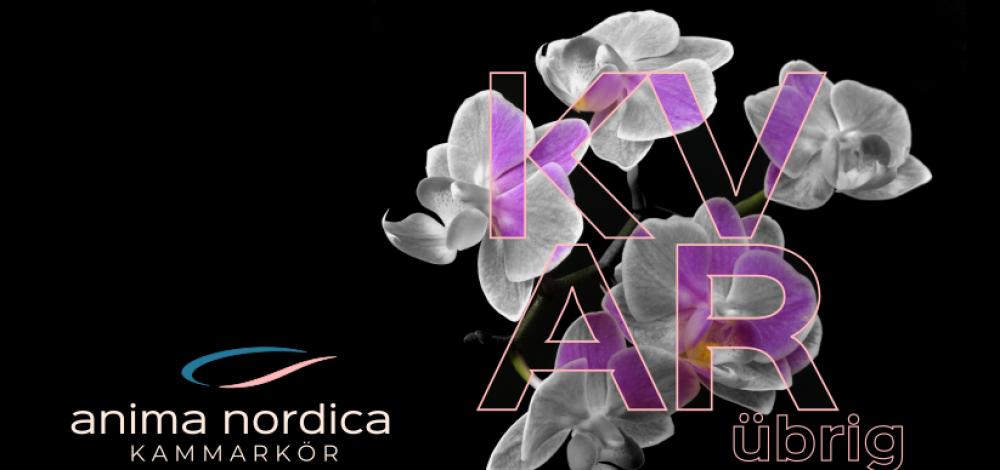 „Kvar“. Konzert von Anima Nordica