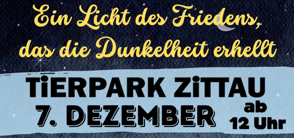 Ein Licht für den Frieden