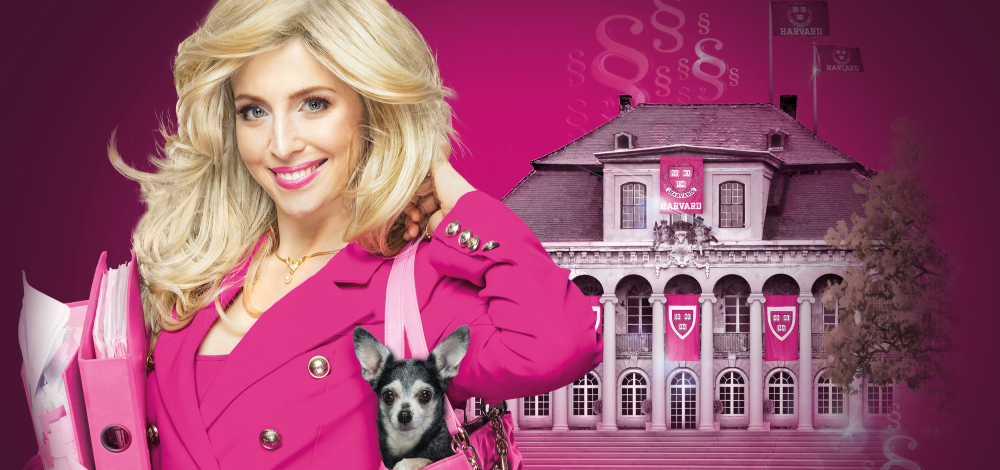 NATÜRLICH BLOND - Das Broadwaymusical nach dem gleichnamigen Kinofilm