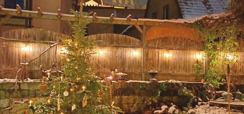 Die ZuZ Hofweihnacht