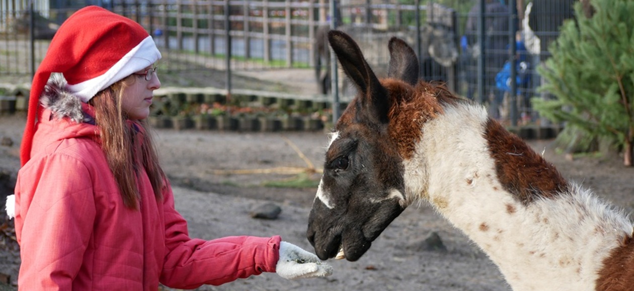 Veranstaltungstipps fürs Wochenende