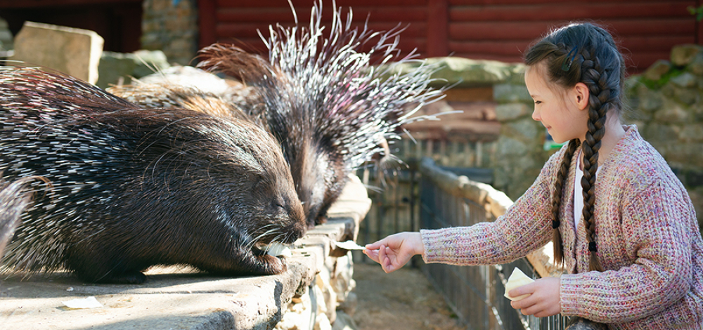 Tipps für den Sonntag