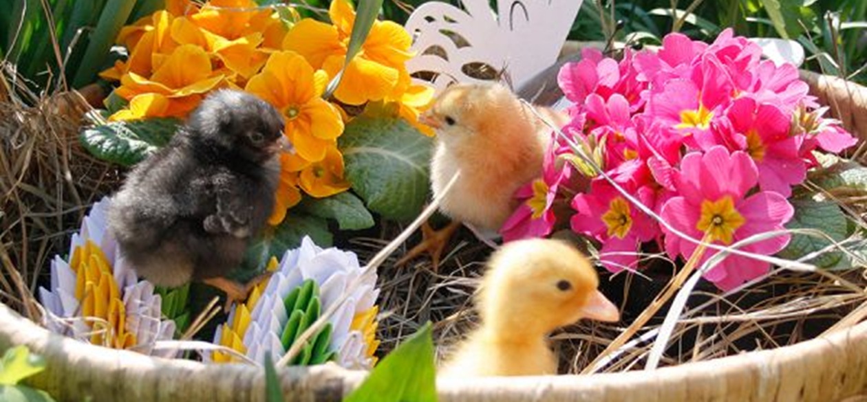 Tipps für die Osterfeiertage