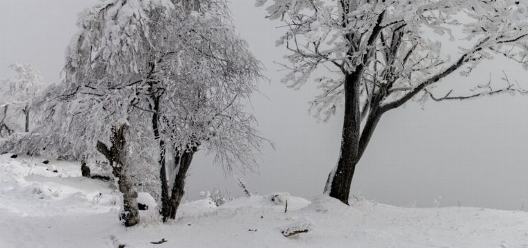 WINTERREISEN – EIN PROLOG