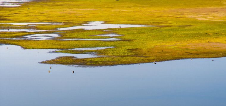 Fotoausstellung "Formen und Farben der Natur" in der Villa Wollner