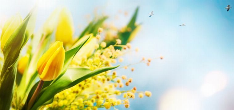 Ostermontag im Mammutgarten Prietitz