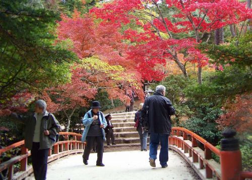 Japanische Gartenkunst und Naturphilosophie © 
