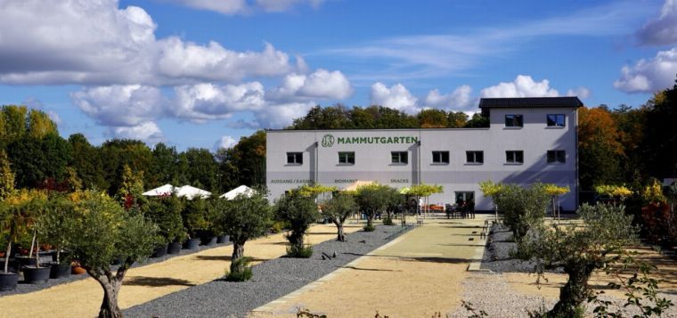 Olivenfest im Mammutgarten - Event Sonntag